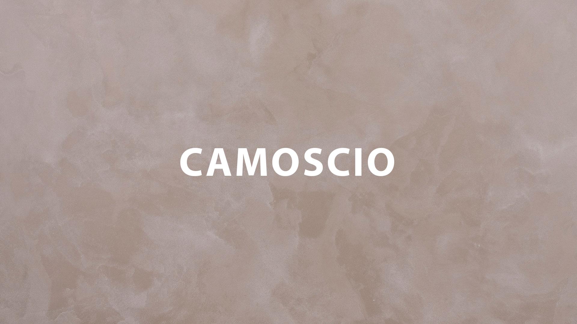 CAMOSCIO